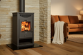 Deluxe E Fireplace in Family Living Room